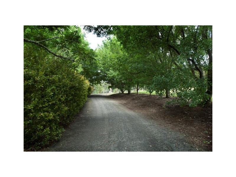 81C Jorgenson Lane, Berry NSW 2535