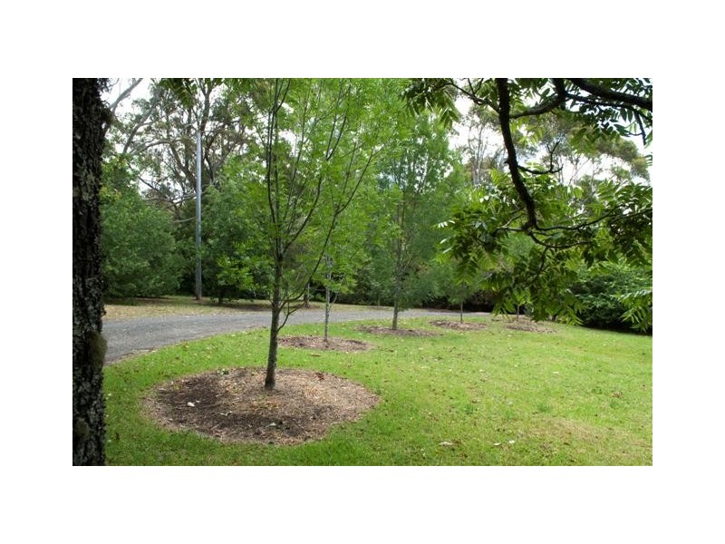 81C Jorgenson Lane, Berry NSW 2535