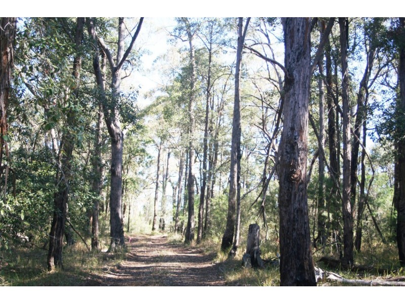 Lot 13 Lilly Pilly Lane, Tapitallee NSW 2540