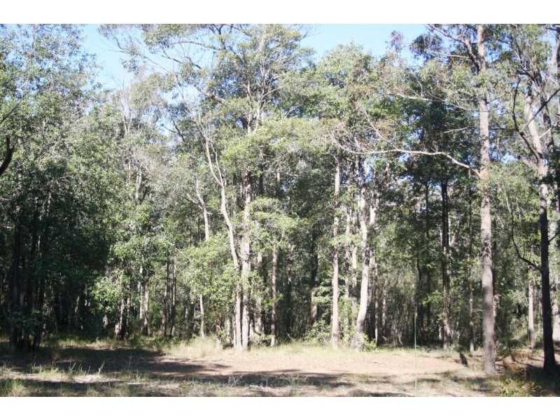 Lot 13 Lilly Pilly Lane, Tapitallee NSW 2540