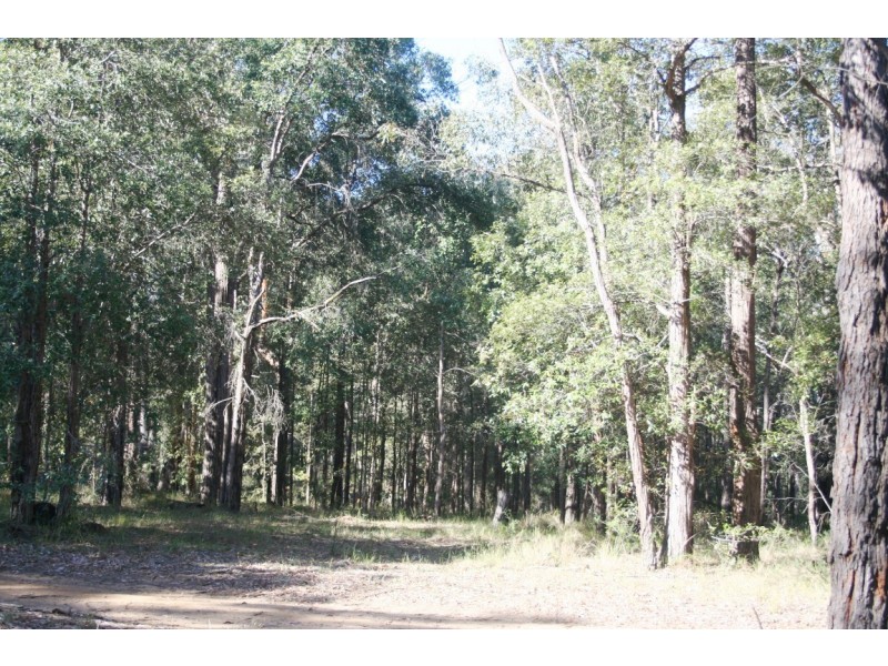 Lot 13 Lilly Pilly Lane, Tapitallee NSW 2540