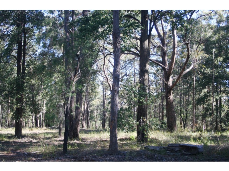 Lot 13 Lilly Pilly Lane, Tapitallee NSW 2540