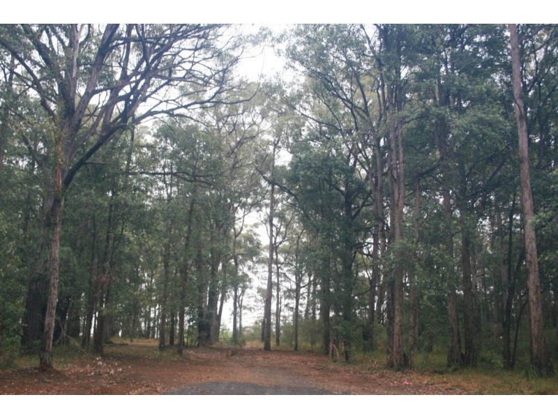 Lot 13 Lilly Pilly Lane, Tapitallee NSW 2540