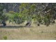 Lot 6 Kalatta Grove, Worrigee NSW 2540