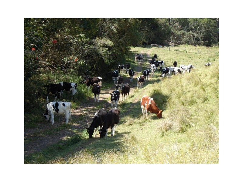 Jamberoo NSW 2533