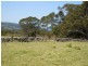 Jamberoo NSW 2533