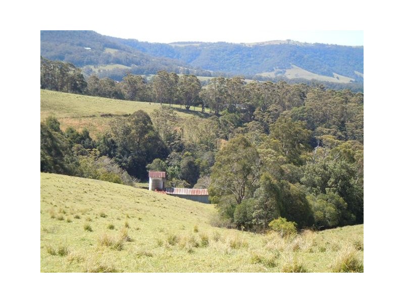 Jamberoo NSW 2533