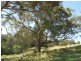 Lot 4 Jamberoo Mountain Road, Jamberoo NSW 2533