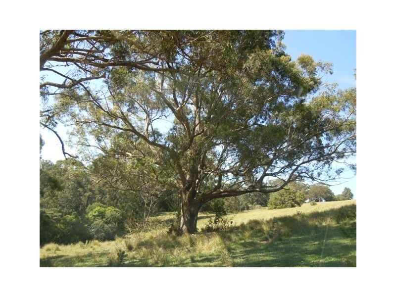 Lot 4 Jamberoo Mountain Road, Jamberoo NSW 2533