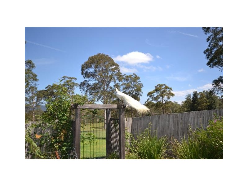 706a Jacks Corner Road, Kangaroo Valley NSW 2577