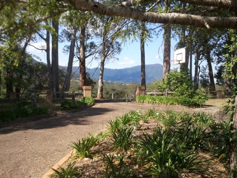 39 Browns Mountain Road, Tapitallee NSW 2540