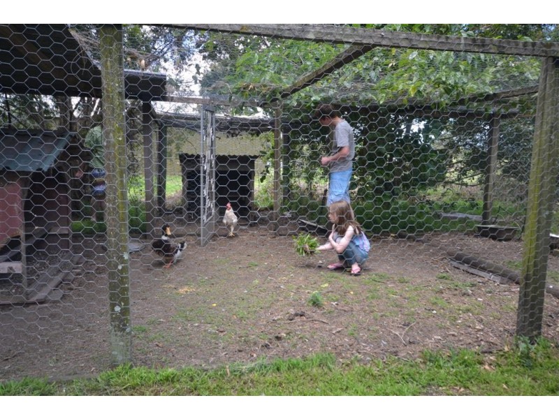 61A Worrigee Road, Worrigee NSW 2540