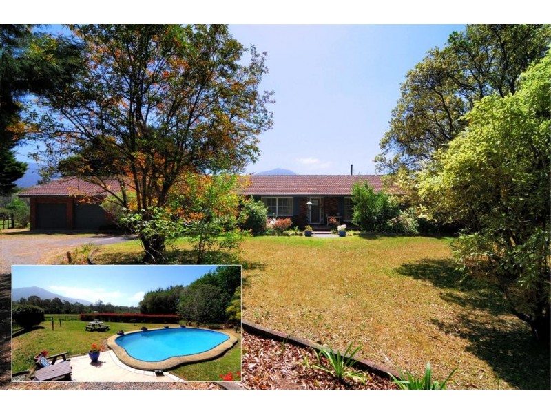 528 Illaroo Road, Bangalee NSW 2541