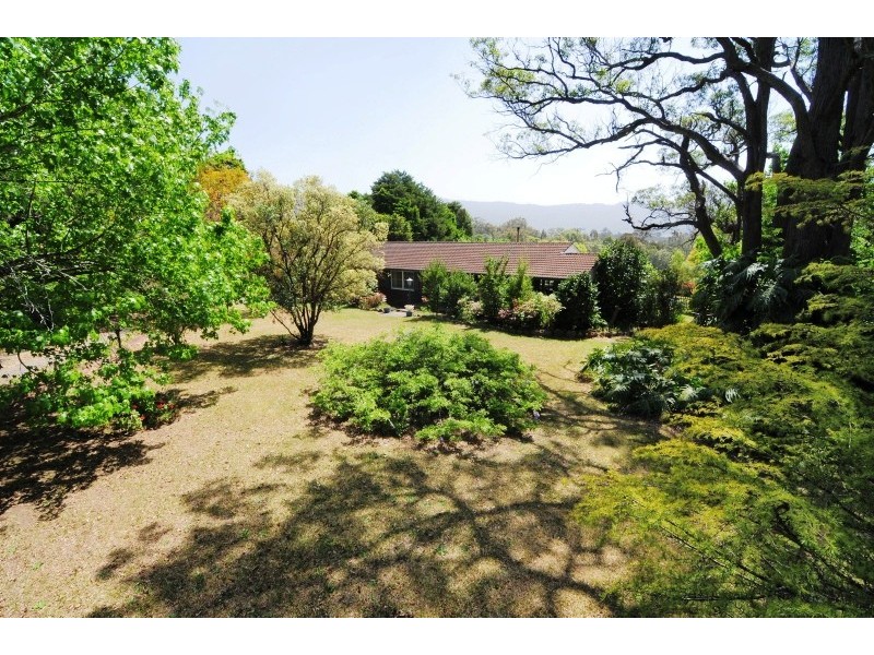 528 Illaroo Road, Bangalee NSW 2541