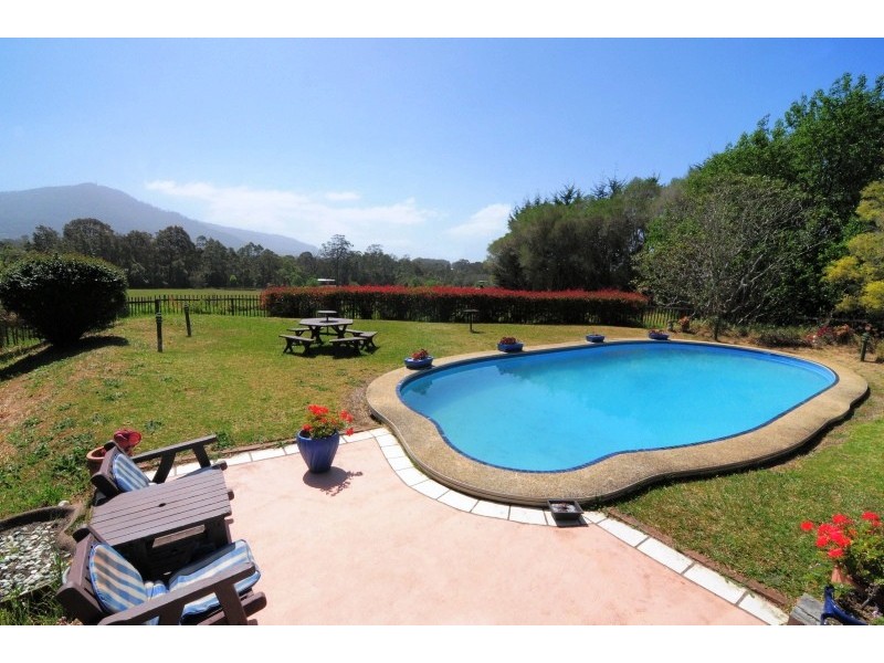 528 Illaroo Road, Bangalee NSW 2541