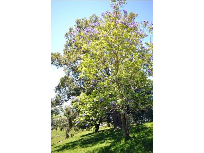 171c Strongs Road, Berry NSW 2535