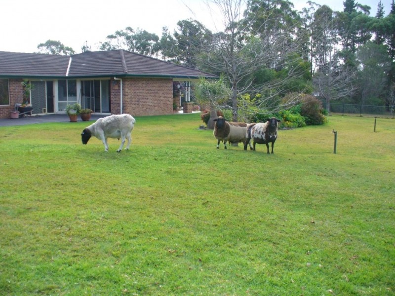 90 Old Berrara Road, Sussex Inlet NSW 2540