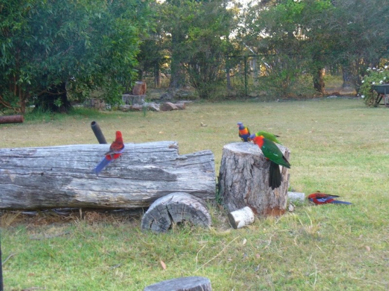 90 Old Berrara Road, Sussex Inlet NSW 2540