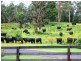 81B Jorgenson Lane, Berry NSW 2535