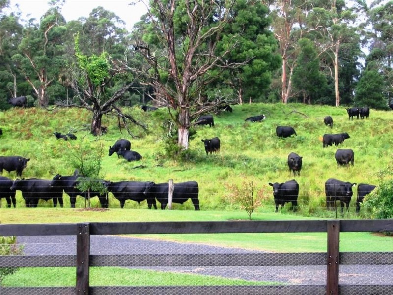 81B Jorgenson Lane, Berry NSW 2535