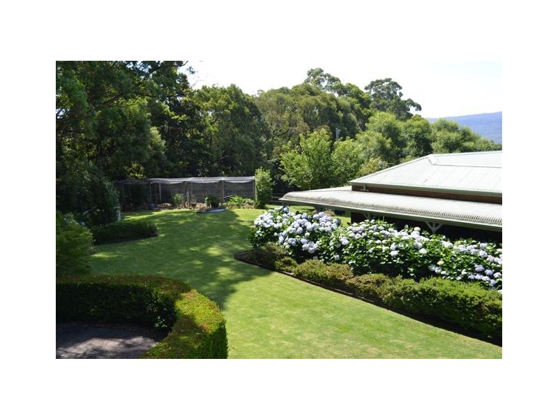 81B Jorgenson Lane, Berry NSW 2535