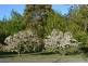 81B Jorgenson Lane, Berry NSW 2535