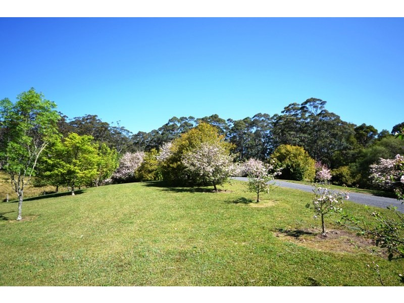 81B Jorgenson Lane, Berry NSW 2535