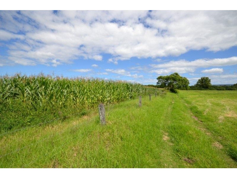 62 Millbank Road, Terara NSW 2540