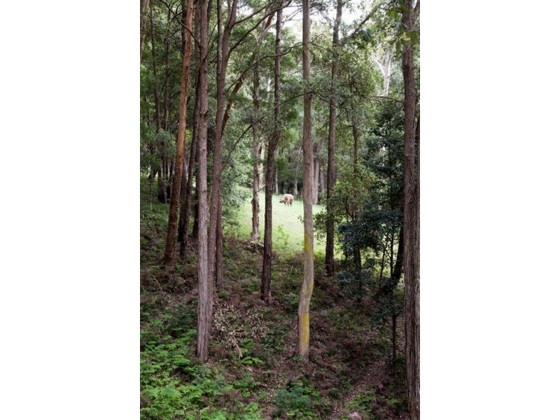 53 Housten Place, Berry NSW 2535