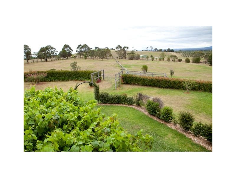 961A Bolong Road, Berry NSW 2535