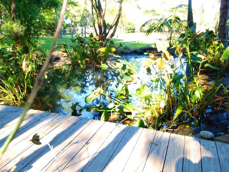 95 Jaspers Brush Road, Berry NSW 2535