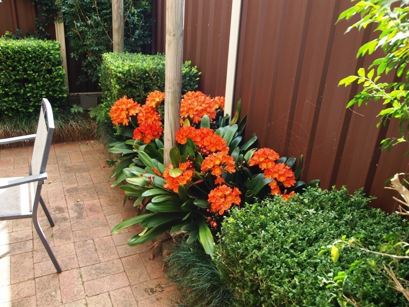 14/41-45 Renown Avenue, Shoalhaven Heads NSW 2535