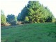 Lot 34 Braidwood Road, Sassafras NSW 2622