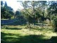 Lot 34 Braidwood Road, Sassafras NSW 2622