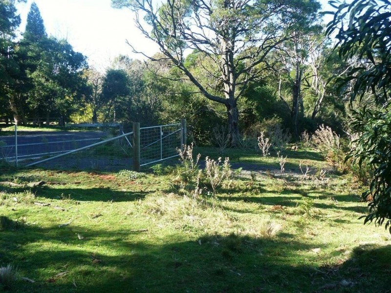 Lot 34 Braidwood Road, Sassafras NSW 2622
