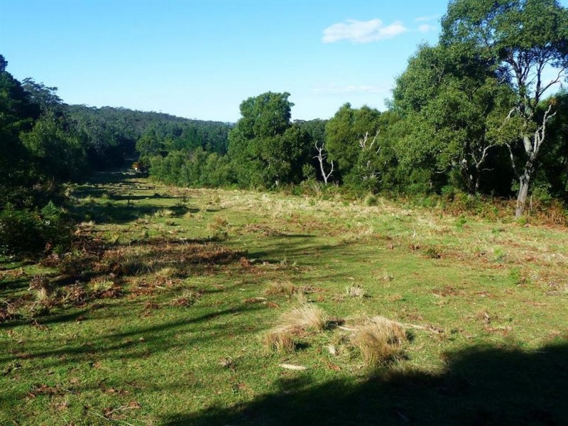 Lot 34 Braidwood Road, Sassafras NSW 2622