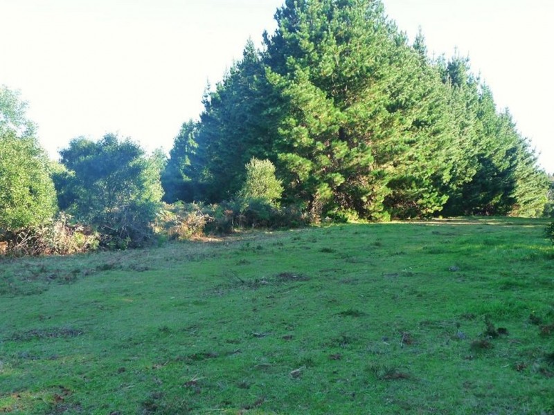 Lot 34 Braidwood Road, Nerriga NSW 2622