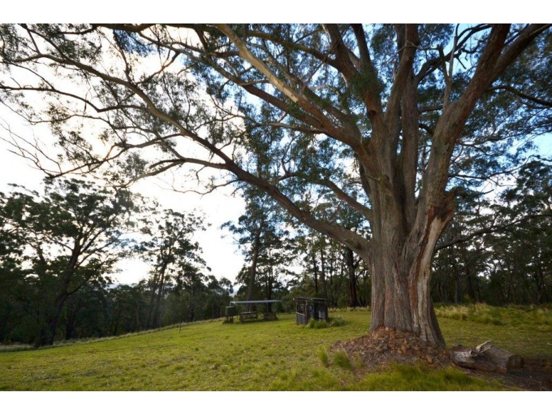 48 Sturgiss Road, Sassafras NSW 2622