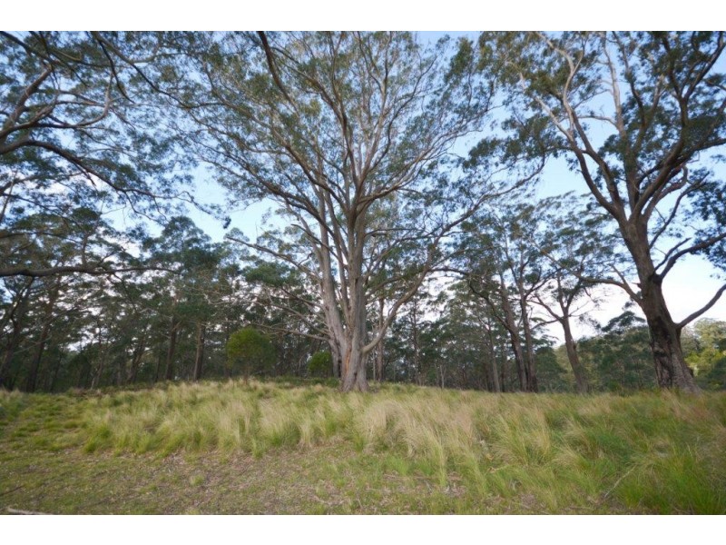 48 Sturgiss Road, Sassafras NSW 2622