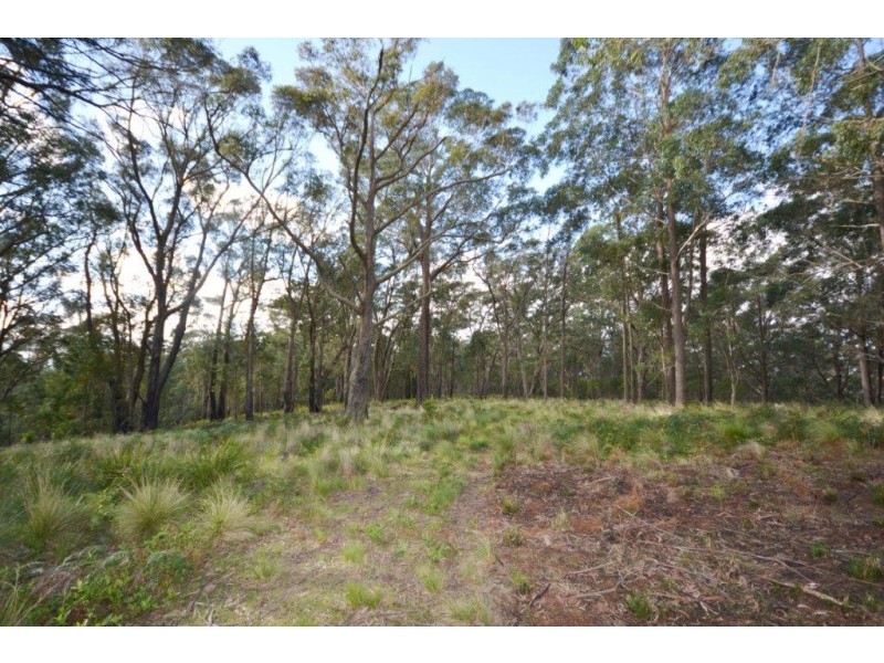 48 Sturgiss Road, Sassafras NSW 2622