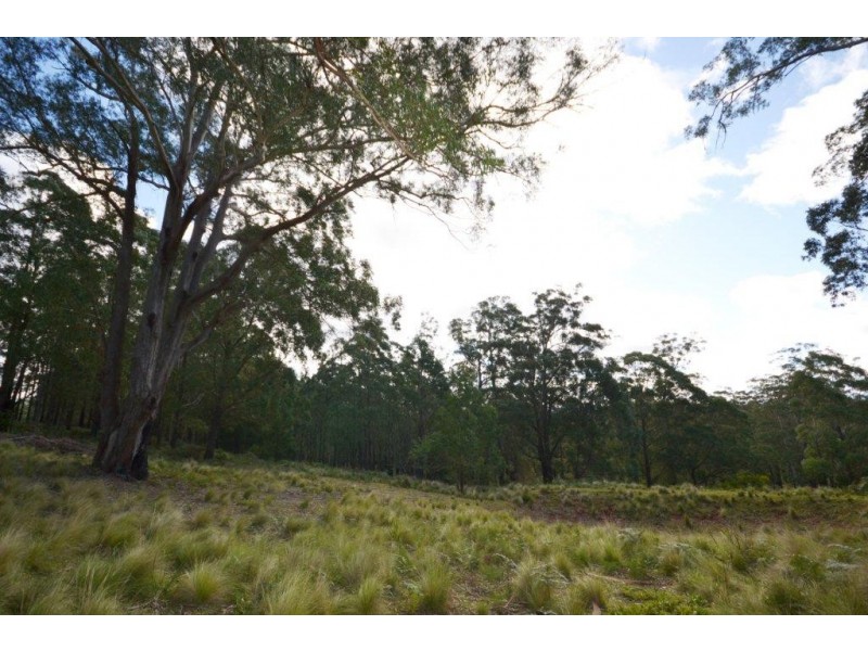 48 Sturgiss Road, Sassafras NSW 2622