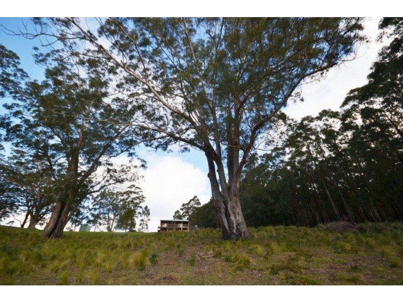 48 Sturgiss Road, Sassafras NSW 2622