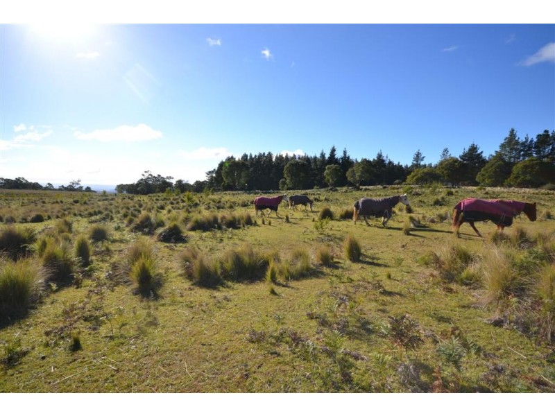Lot 25 Braidwood Road, Sassafras NSW 2622