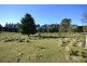 Lot 25 Braidwood Road, Sassafras NSW 2622