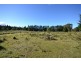 Lot 25 Braidwood Road, Sassafras NSW 2622