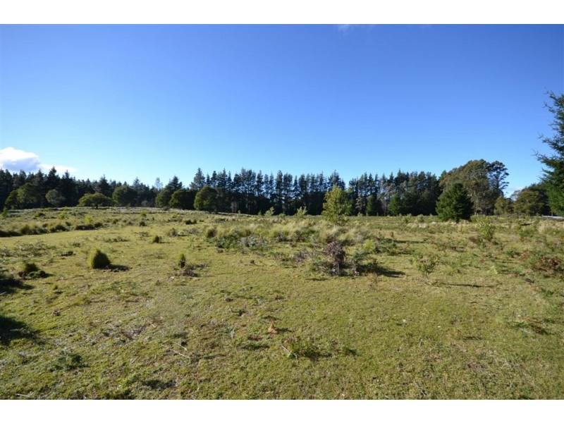 Lot 25 Braidwood Road, Sassafras NSW 2622