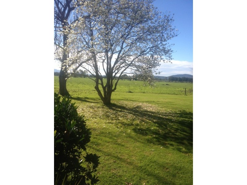 27B Millbank Rd, Terara NSW 2540