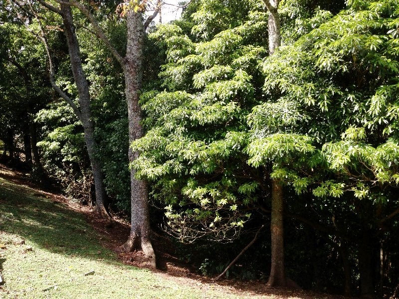 1045B Moss Vale Road, Beaumont NSW 2577