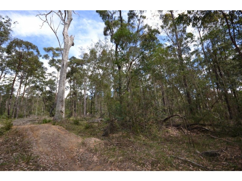 139 Sinclair Road, Falls Creek NSW 2540