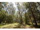 49 Woollamia Road, Falls Creek NSW 2540